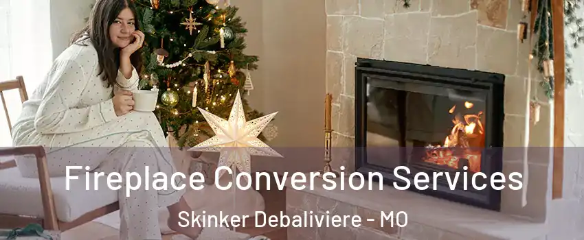 Fireplace Conversion Services Skinker Debaliviere - MO
