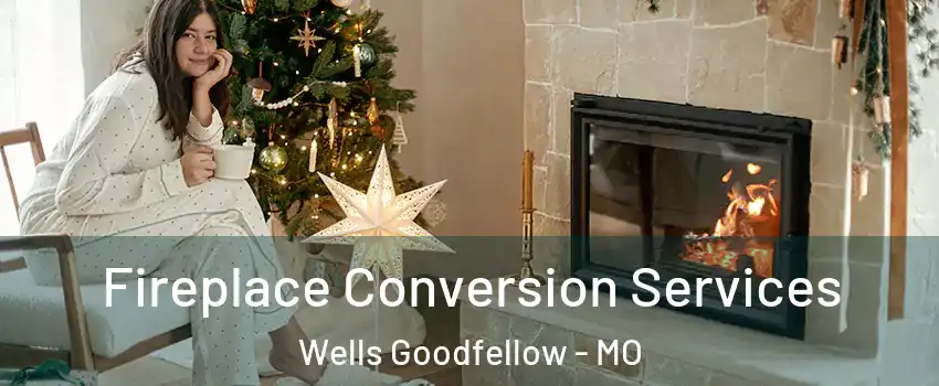 Fireplace Conversion Services Wells Goodfellow - MO