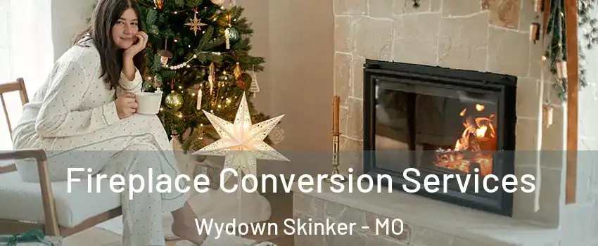 Fireplace Conversion Services Wydown Skinker - MO