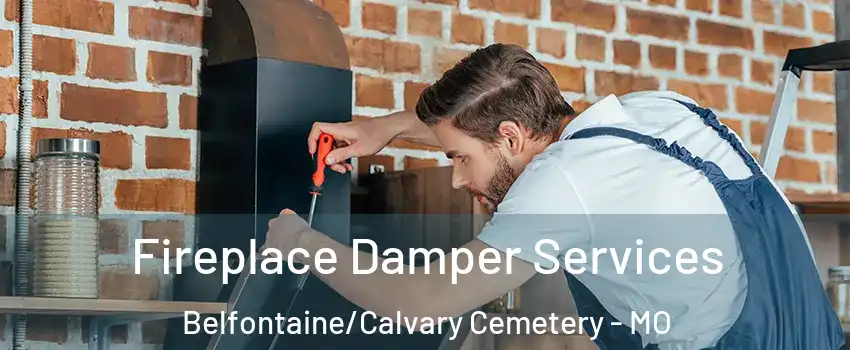 Fireplace Damper Services Belfontaine/Calvary Cemetery - MO