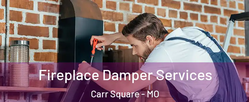 Fireplace Damper Services Carr Square - MO