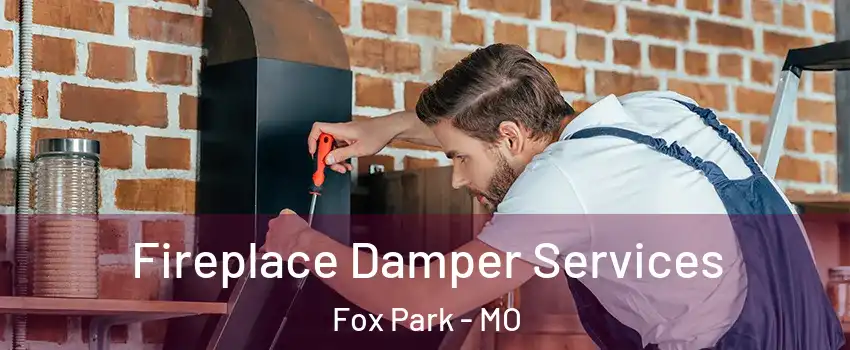 Fireplace Damper Services Fox Park - MO