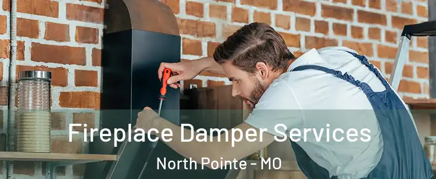 Fireplace Damper Services North Pointe - MO