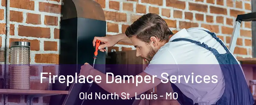 Fireplace Damper Services Old North St. Louis - MO