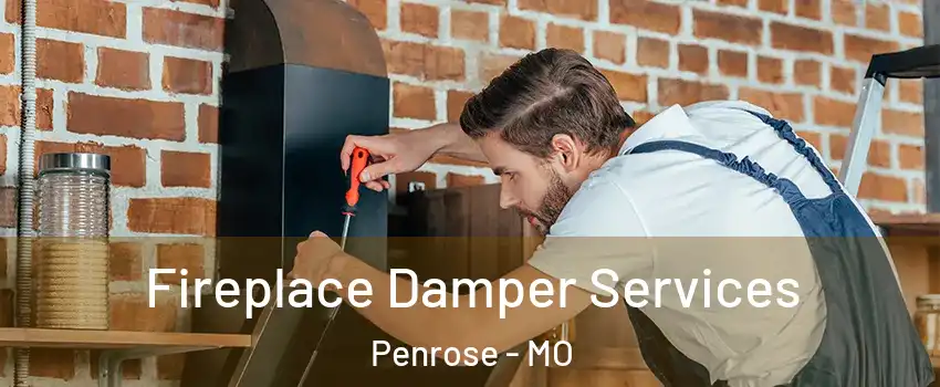 Fireplace Damper Services Penrose - MO