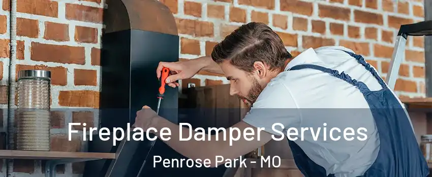 Fireplace Damper Services Penrose Park - MO
