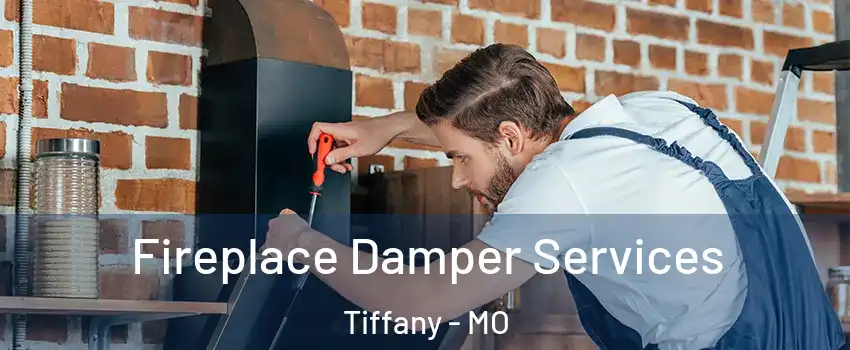 Fireplace Damper Services Tiffany - MO