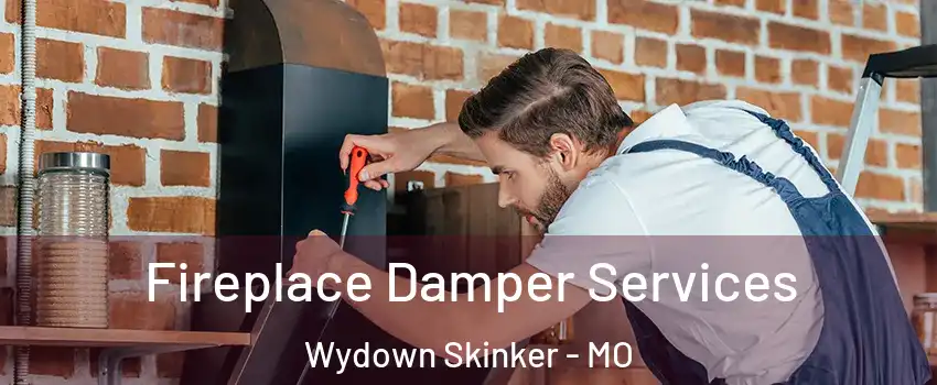 Fireplace Damper Services Wydown Skinker - MO