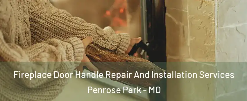 Fireplace Door Handle Repair And Installation Services Penrose Park - MO