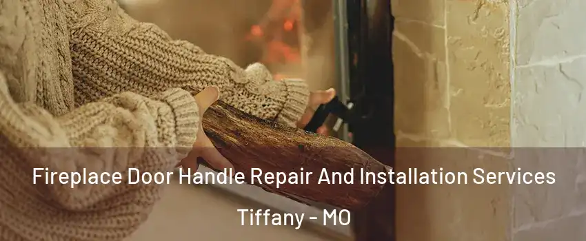 Fireplace Door Handle Repair And Installation Services Tiffany - MO