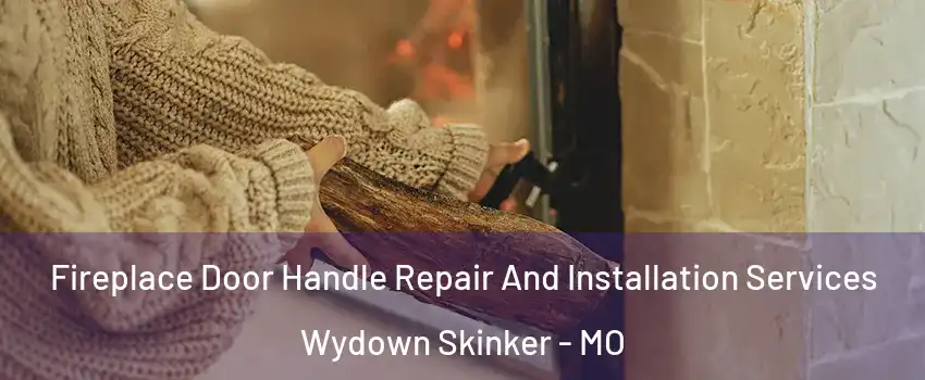 Fireplace Door Handle Repair And Installation Services Wydown Skinker - MO