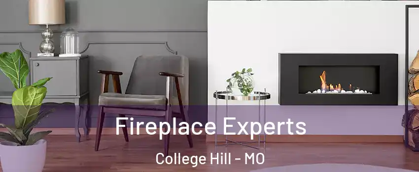 Fireplace Experts College Hill - MO