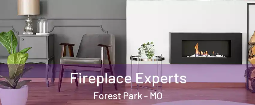 Fireplace Experts Forest Park - MO