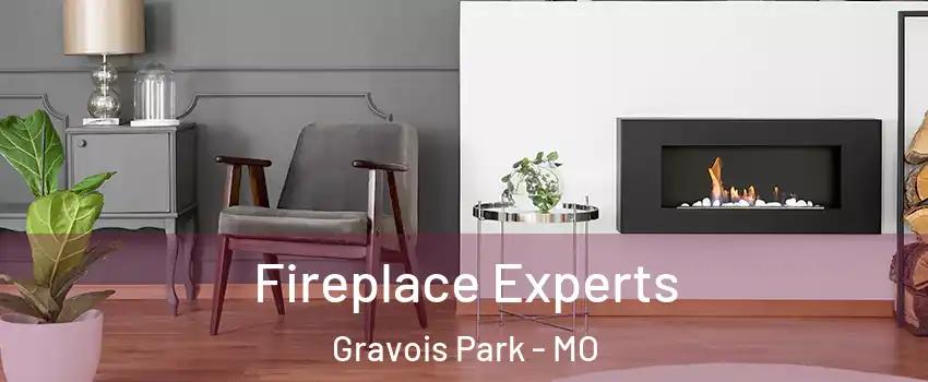 Fireplace Experts Gravois Park - MO