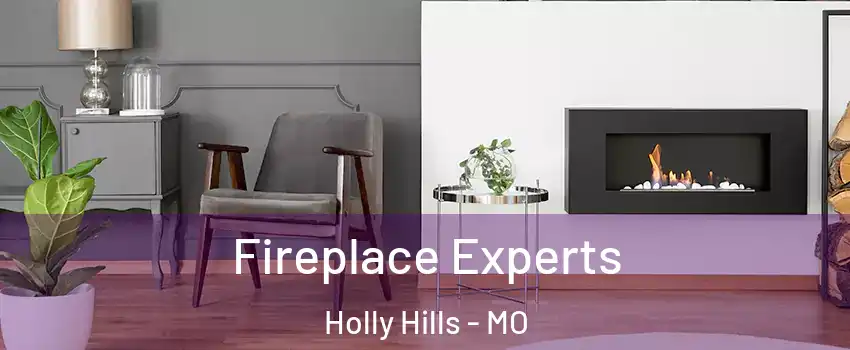 Fireplace Experts Holly Hills - MO