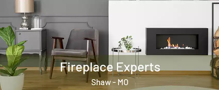 Fireplace Experts Shaw - MO