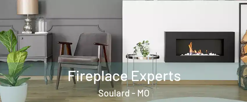 Fireplace Experts Soulard - MO