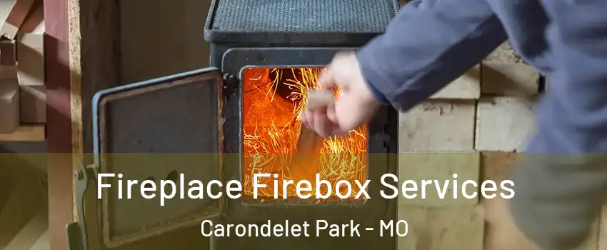 Fireplace Firebox Services Carondelet Park - MO