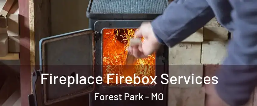 Fireplace Firebox Services Forest Park - MO