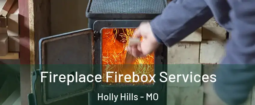Fireplace Firebox Services Holly Hills - MO