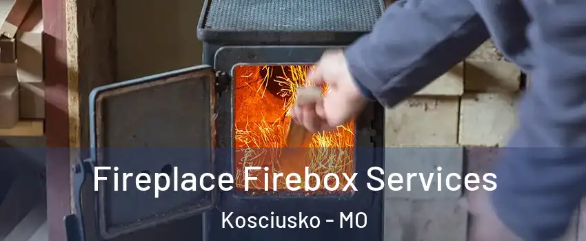 Fireplace Firebox Services Kosciusko - MO
