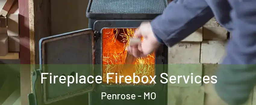 Fireplace Firebox Services Penrose - MO
