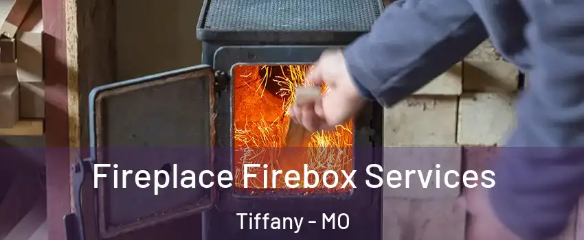 Fireplace Firebox Services Tiffany - MO