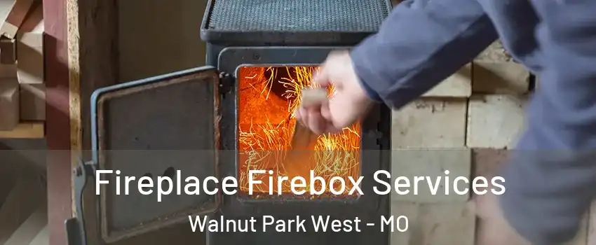 Fireplace Firebox Services Walnut Park West - MO