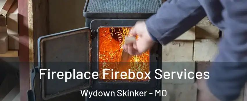 Fireplace Firebox Services Wydown Skinker - MO