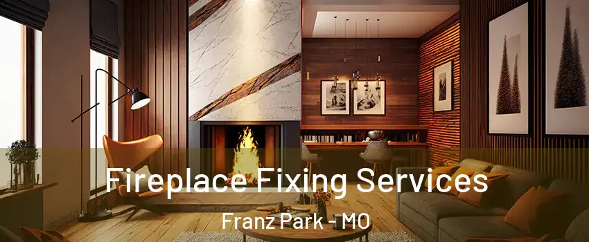 Fireplace Fixing Services Franz Park - MO