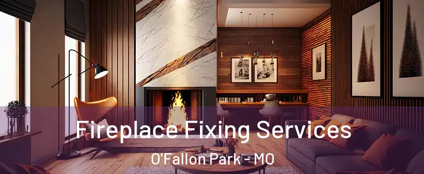 Fireplace Fixing Services O'Fallon Park - MO