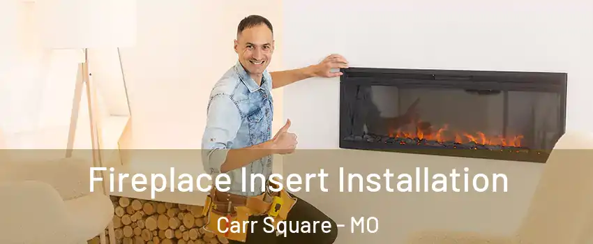 Fireplace Insert Installation Carr Square - MO