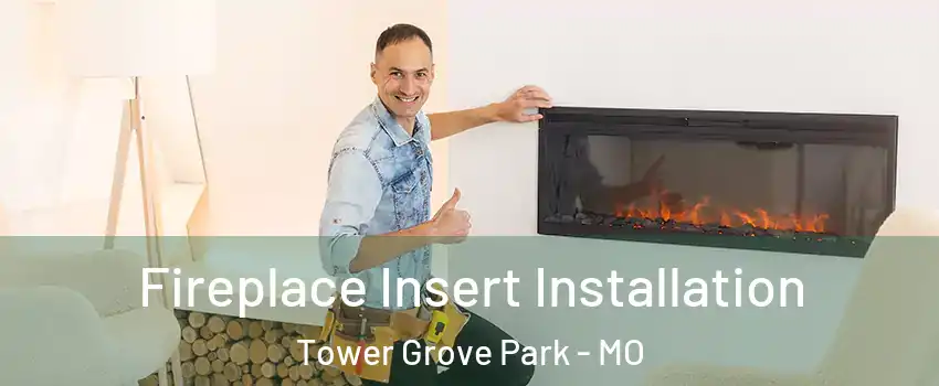 Fireplace Insert Installation Tower Grove Park - MO