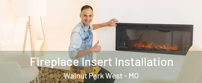 Fireplace Insert Installation Walnut Park West - MO
