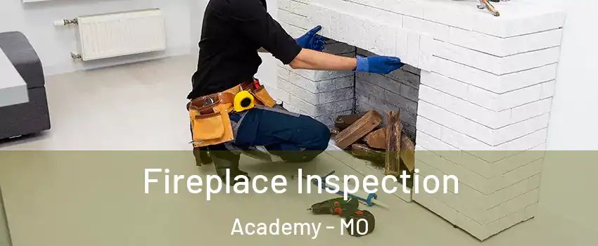 Fireplace Inspection Academy - MO