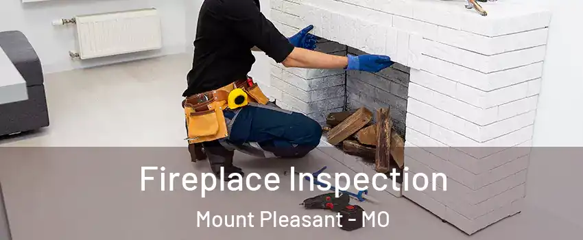 Fireplace Inspection Mount Pleasant - MO