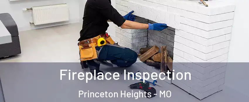 Fireplace Inspection Princeton Heights - MO