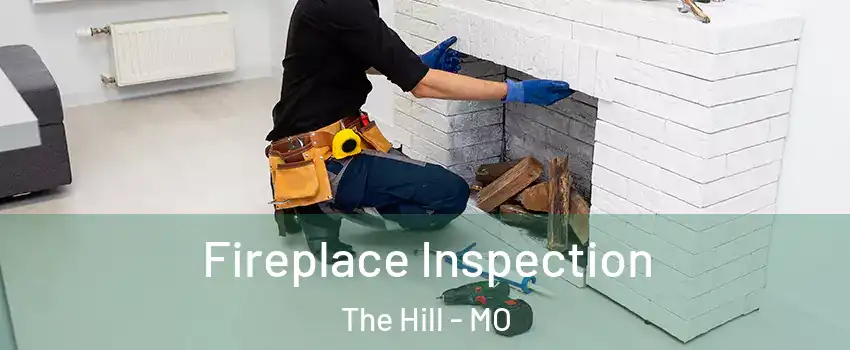 Fireplace Inspection The Hill - MO