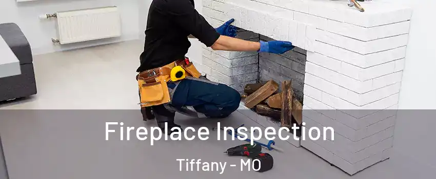Fireplace Inspection Tiffany - MO