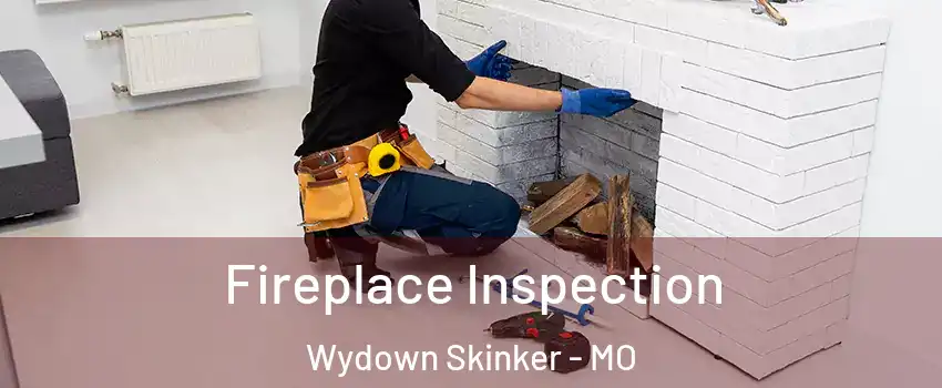 Fireplace Inspection Wydown Skinker - MO