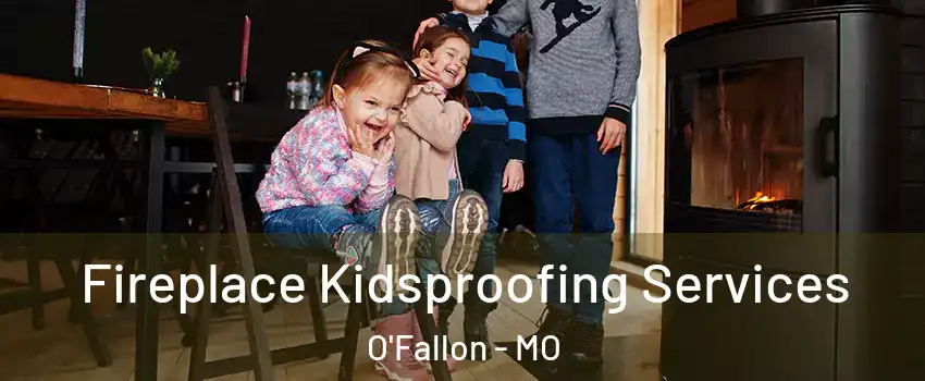 Fireplace Kidsproofing Services O'Fallon - MO