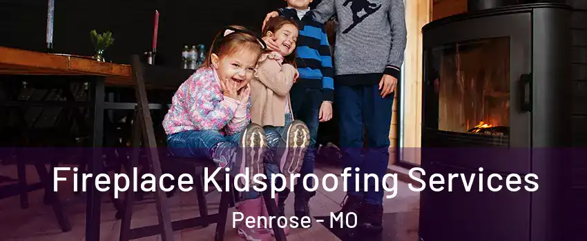 Fireplace Kidsproofing Services Penrose - MO