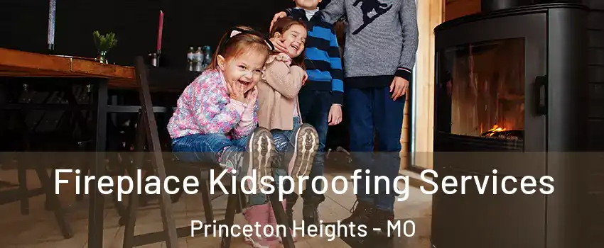 Fireplace Kidsproofing Services Princeton Heights - MO