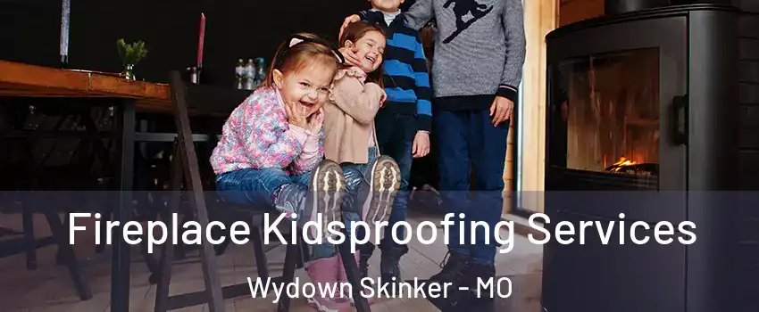 Fireplace Kidsproofing Services Wydown Skinker - MO