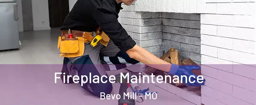 Fireplace Maintenance Bevo Mill - MO