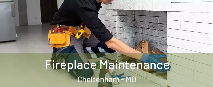 Fireplace Maintenance Cheltenham - MO