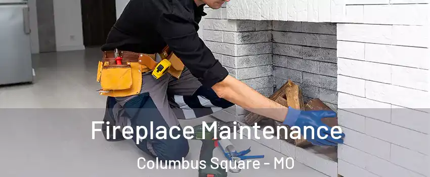 Fireplace Maintenance Columbus Square - MO
