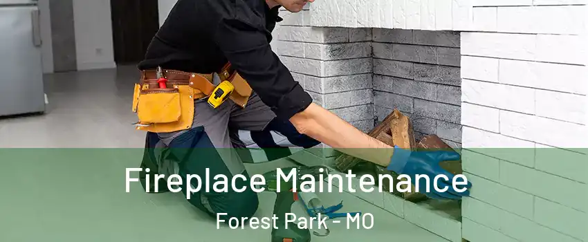 Fireplace Maintenance Forest Park - MO