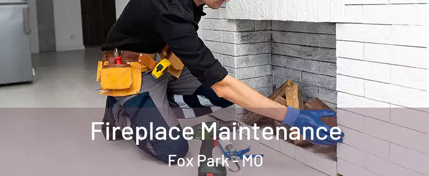 Fireplace Maintenance Fox Park - MO