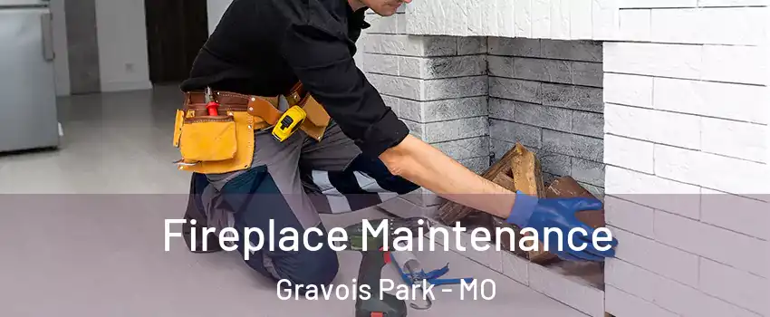 Fireplace Maintenance Gravois Park - MO